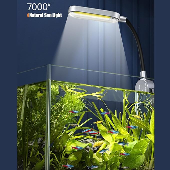 AQUA DAREN 2.5 Gallon Fish Tank Starter Kits, with Led Light, Filter Pump, Cover, Small Fish Tank Betta Aquarium (30x18x20CM)