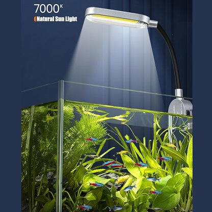AQUA DAREN 2.5 Gallon Fish Tank Starter Kits, with Led Light, Filter Pump, Cover, Small Fish Tank Betta Aquarium (30x18x20CM)