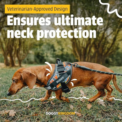Personalized No-Pull Dog Harness with Name Patch, Adjustable, Reflective, Padded, Heavy Duty Pet Vest to Prevent Tugging, Pulling, or Choking, Training and Walking, Green, S