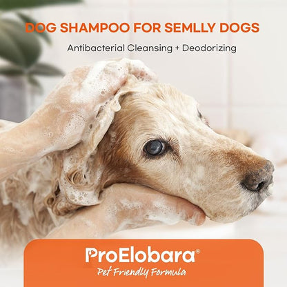 Medicated Dog Shampoo for Itchy Relief: Yeast Skin Infections and Bacterial Treatment for Dogs - Helps Hot Spots, Deodorizing, Allergy Relief - Healthy Skin & Coat - Antifungal Dog Shampoo 16 oz