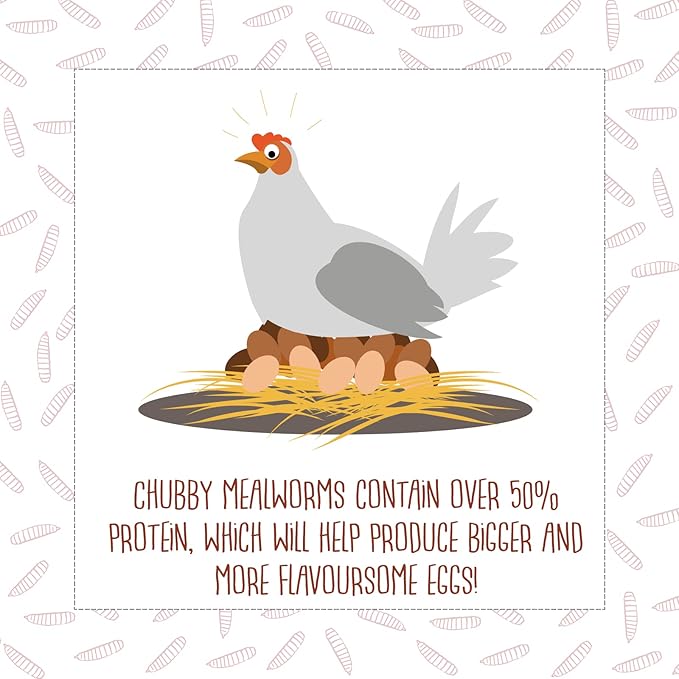 Chubby Dried Mealworms | 2 lbs | High-Protein Non-GMO Treats for Chickens, Ducks, Wild Birds & Backyard Pets