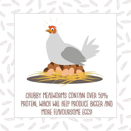 Chubby Dried Mealworms | 2 lbs | High-Protein Non-GMO Treats for Chickens, Ducks, Wild Birds & Backyard Pets