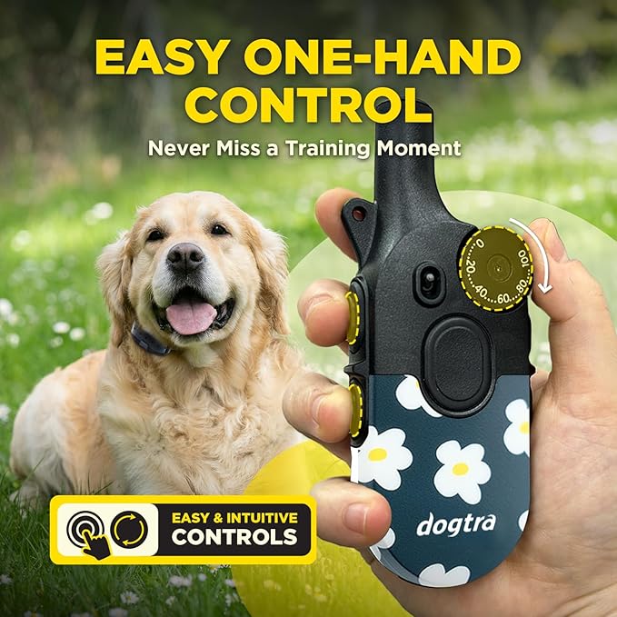 Dogtra 200iQ Remote Training E Collar – 100 Levels, Tone, Vibration, 1/2 Mile Range – Compact, Waterproof, One-Handed Control for Dogs 10 lbs+ – Lightweight Design for Daily Training – Flower Power