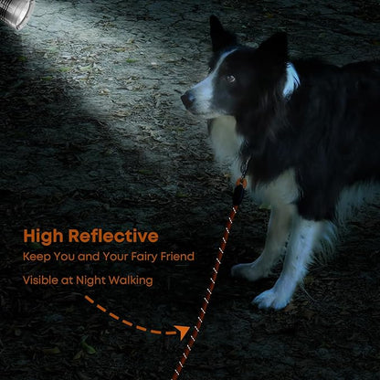 (2 Pack) Long Dog Leash for Dog Training 30FT Lockable Hook Heavy Duty Dog Lead Tie Out Rope for Large Medium Small Dogs Outside Walking, Playing, Camping, or Yard (Black&Orange)