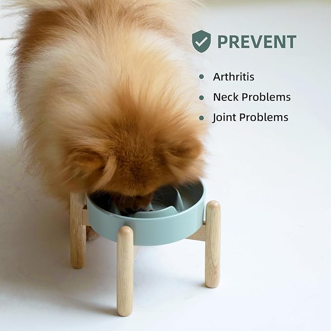 Ceramic 0.9 Cup Raised Dog Slow Feeder Set, Elevated Bowl with Wooden Stand for Small Dog and Cat, 6.1inch Puzzle Slow Dog Food Dish, Anti-Gulping(Light Green, Single Bowl+ Stand)