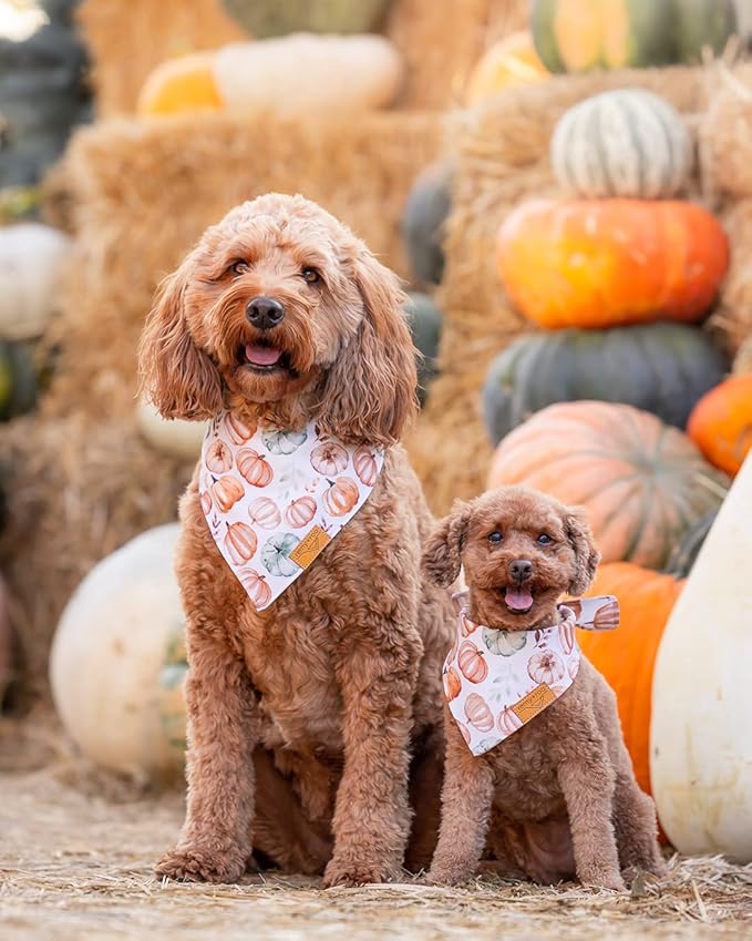 Remy+Roo Fall Dog Bandanas 4 Pack - Amber Set, Premium Durable Polyester Fabric, Patented Curved Design, Adjustable Fit for Small, Large, and XL Dogs, Trendy Patterns, Dog Fall Bandanas (Small)