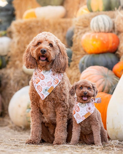 Remy+Roo Fall Dog Bandanas 4 Pack - Amber Set, Premium Durable Polyester Fabric, Patented Curved Design, Adjustable Fit for Small, Large, and XL Dogs, Trendy Patterns, Dog Fall Bandanas (Small)