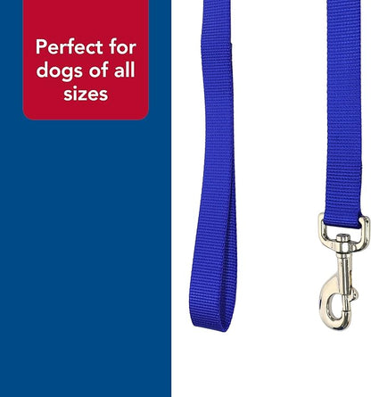 Coastal Pet Single-Ply Dog Leash - Sturdy Pet Leash - Comfortable & Stylish - Resists Fraying - Vibrant & Fade-Resistant Color - Teal, 3/8" x 6'