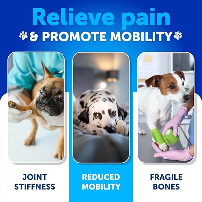 (2 Pack) Hemp Hip and Joint Supplement for Dogs - Glucosamine for Dogs Joint Pain Relief - Chews with Chondroitin, MSM, Hemp Oil - Mobility Support - Canine Cartilage Health - Made in USA