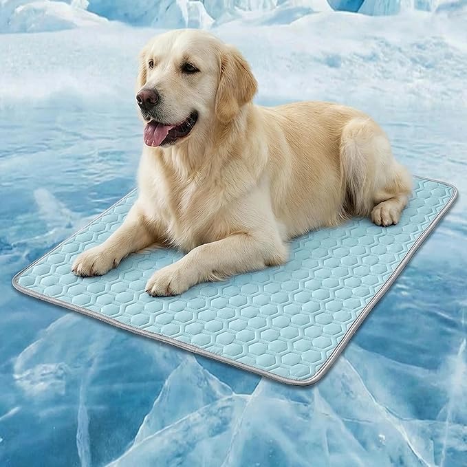 HAOMAIJIA Pet Cooling Mat for Dogs Thick Soft Washable Dog Cooling Mat Indoor Upgrade Waterproof Non-Slip Self Cooling Pad for Dog and Cat (Sky Blue, 39'' x 59'' XX-Large)