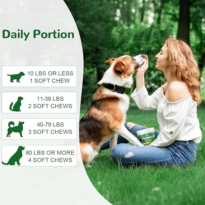 Dog Allergy Relief Chews, Dog Itch Relief Chews for Large Dogs Paw Licking Itchy Skin Seasonal Allergies, Probiotics with Astragalus Omega-3 for Coat Immune Supplement-150ct