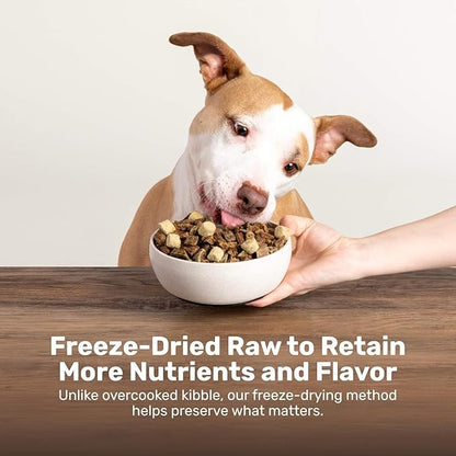 BADLANDS RANCH Superfood Nuggets – Freeze-Dried Raw Dog Treat & Food Topper, Nutrient-Dense Bison & Kale Formula, No Artificial Additives, 8oz Bags (4-Pack Bundle)