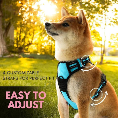 Ziggy Pet Dog Harness Adjustable Nylon Mesh Vest with Leash Clips (Blue, Large)