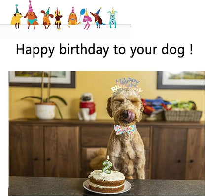 Unqiue Style Paws Birthday Dog Collar, Soft and Cute Dog Bow Tie, Durable Pet Collar with Bow Adjustable Bow Dog Collar for Medium Dogs