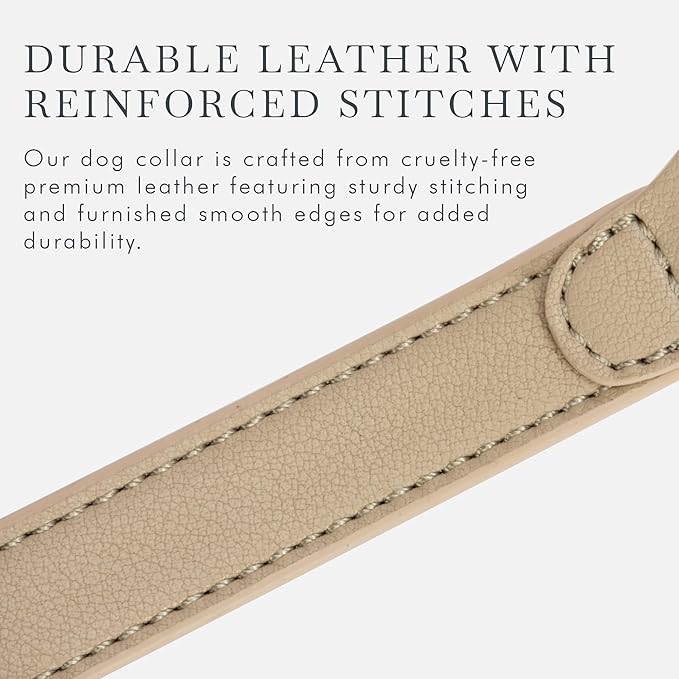 NINA WOOF Cupertino Dog Collars, Harnesses & Leashes Made from Vegan Leather with Dog Tracker Device Holder Adjustable Dog Collar (Small, Beige)