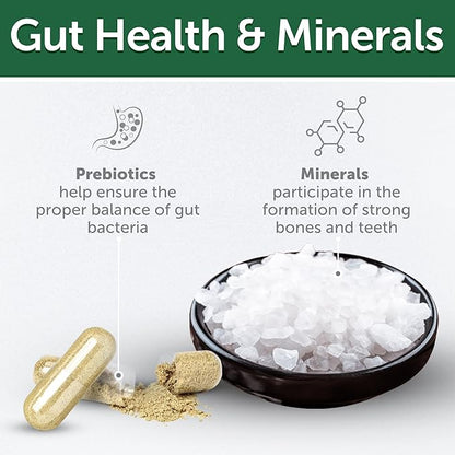 Nature's Protection Grain Free Low Calorie Dog Treats - Training Treats for Small, Medium & Large Breed Adult Dogs with Light Fur (Superior Care - Herring, 5.29 oz)