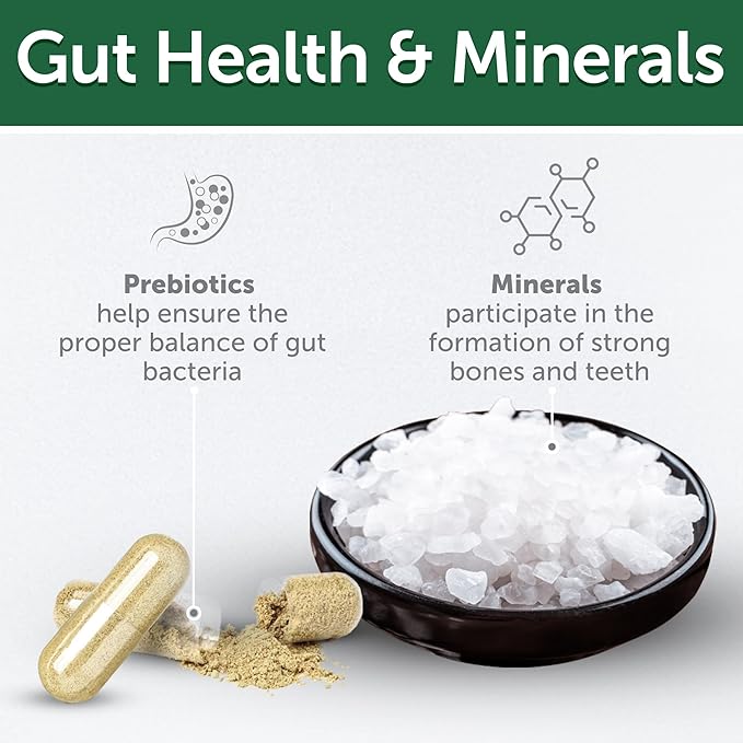 Nature's Protection Grain Free Low Calorie Dog Treats - Training Treats for Small, Medium & Large Breed Adult Dogs with Light Fur (Superior Care - Lamb, 5.29 oz)