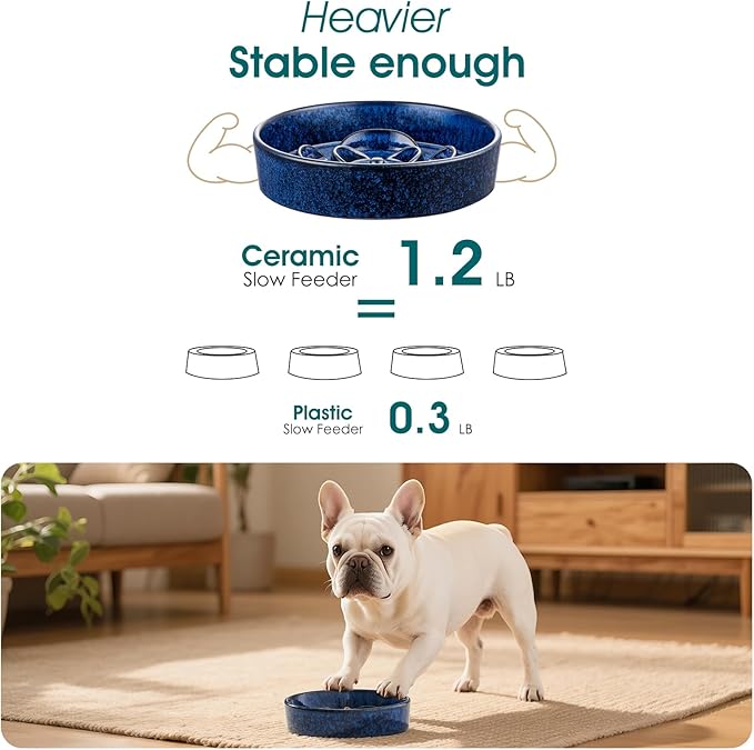 vancasso Slow Feeder Dog Bowl, 0.6 Cups Ceramic Dog Food Dish for Fast Eaters Small Breed, Puzzle Bowl for Small Dogs and Cats, Blue