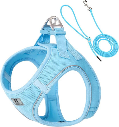 Adjustable Dog Harness with Leash, Reflective Mesh, No-Pull Design，Matching Lead Rope (SkyBlue, XXS)