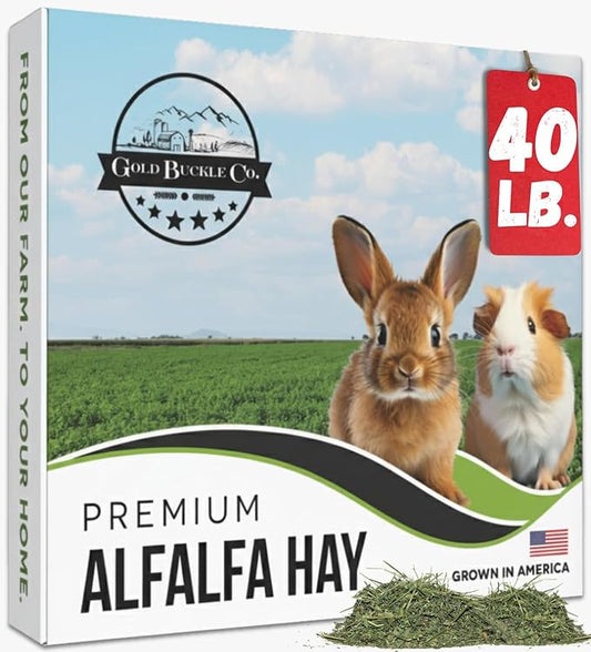 Gold Buckle Co 40lb Farm Fresh, USA Grown, Organic Alfalfa Hay for Rabbits, Guinea Pigs, Chinchillas, Goats, Hamsters & Ferrets - Small Animal Food Rich in Protein & Fiber - Just Dried, Hand-Selected