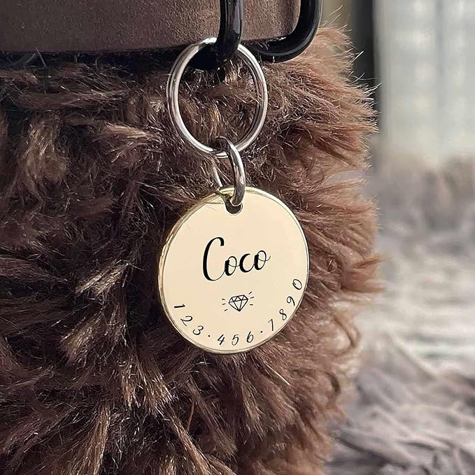 Cats Dogs ID Tags Personalized Lovely Symbols Pets Collar Name Accessories Simple Custom Engraved Supplies for Large Four Legged Child Necklace Chain Anti-Lost Shiny Stainless Steel 316L Charm
