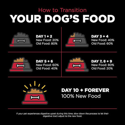 Go! Solutions Skin + Coat Care, Dry Dog Food, Lamb Recipe with Grains, 3.5 lb Bag