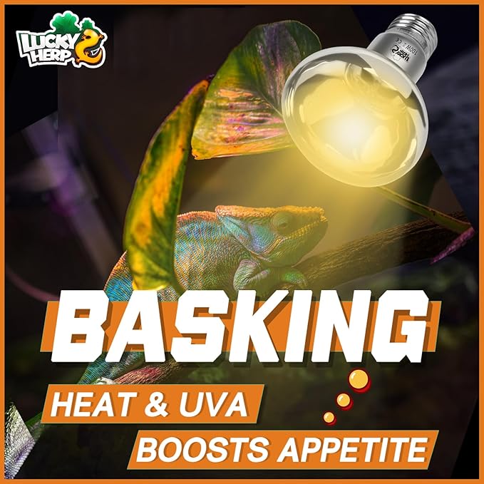 LUCKY HERP Heat Lamp Bulbs, UVA Intense Basking Spot Light Reptile Heat Lamp(Clear) 100W, Simulated Natural Sunlight Heat Lamp Bulbs for Reptile, Bearded Dragon, Amphibian, Turtle, Snake, Lizard