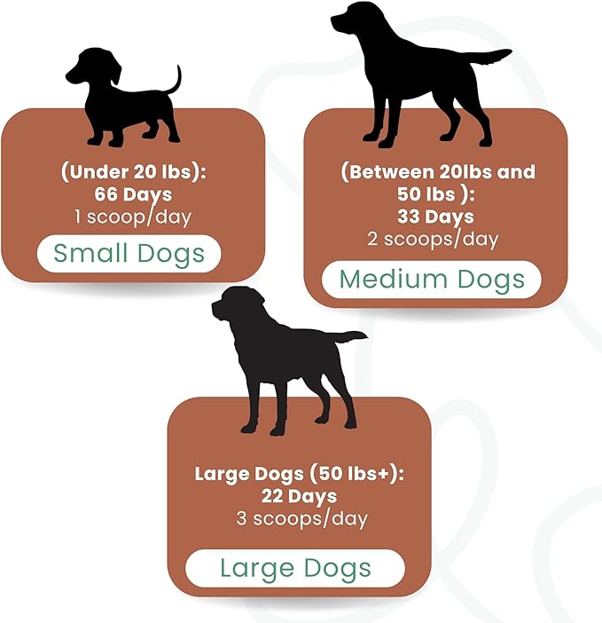 Kopo Dog Dental Powder - Dog Bad Breath Treatment for All Breed Size - Includes Probiotics for Dogs - Easy Way for Dog Teeth Cleaning - One of The Essential Pet Supplies with Beef Flavor