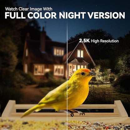 Intoo Lifes Smart Bird Feeder with Camera Solar Powered for Outdoors - 2.5K HD Wireless Birds Watching Camera, AI Identify Species,Auto Capture Birds Videos.Ideal Gift for Christmas，Bird Lover，Mom
