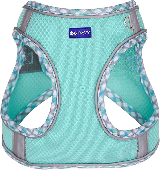 Step in Mesh Dog Harness and Leash Set - Breathable Air Mesh Reflective Escape Proof Vest - No Choke, Lightweight - Green