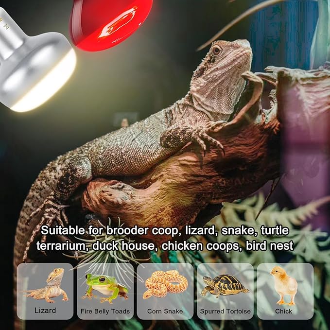 MISDOOD 100W Reptile Heat Lamp Bulb, Day & Night Basking Spot Light Combo Pack Includes Infrared Heat Lamp and UVA Daylight Heating Lamp Basking Light for Lizards, Turtles, Chicken，Bearded Dragons