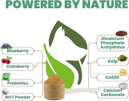 Kopo Dog Dental Powder - Dog Bad Breath Treatment for All Breed Size - Includes Probiotics for Dogs - Easy Way for Dog Teeth Cleaning - One of The Essential Pet Supplies with Beef Flavor