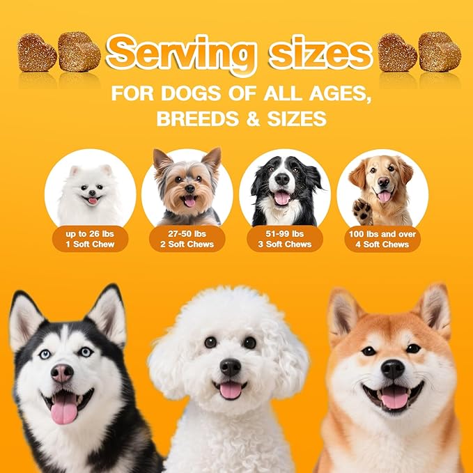 Skin & Coat Supplement for Dogs - Allergy Relief Chews with Omega 3, 9 & Vitamin E, Itchy Skin Treatment, Beef Flavor Soft Chews (120 Count) (Beef)