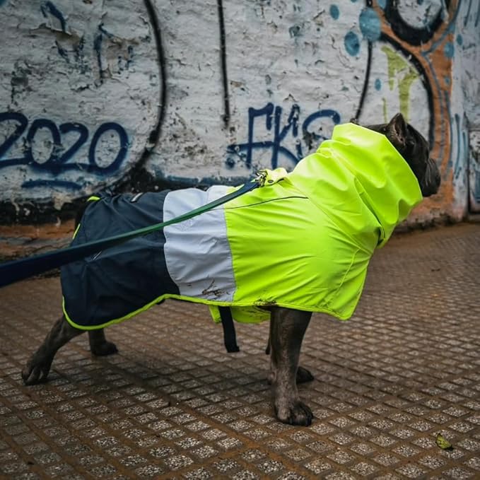 Spark Paws Dog Raincoat, Waterproof Windproof Rain Jacket, for Small Medium Large Extra Large Dogs, Reflective Breathable Full-Body Coverage Dry Suit - Neon White Navy Blue, 3XL