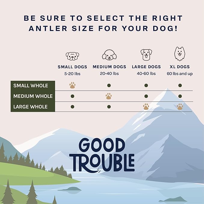 Good Trouble Premium Deer Antlers for Large Dogs – 2 Whole Antlers Pets - North American Sourced for Dental Health & Anxiety Relief - Odor-Free & Non-Toxic Chew Bone for Dogs