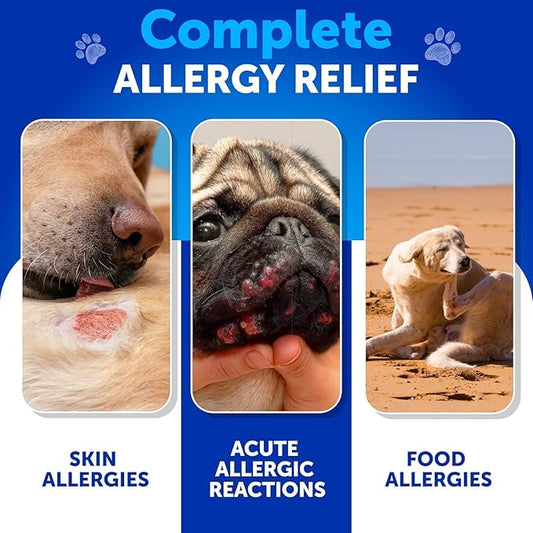 Dog Allergy Relief Chews - Itching Skin Relief for Dogs - Fish Oil - Omega 3 - Seasonal Allergies Pills - Skin & Coat, Anti Itch, Hot Spots Treatment - Canine Immune Health Supplement - 70 Soft Treats