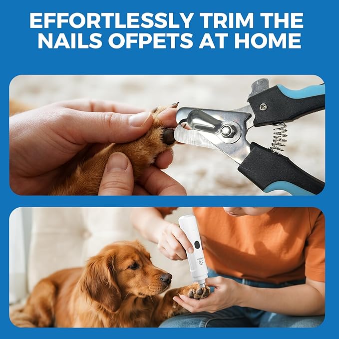 PAPIFEED Pet Nail Grinder for Dogs,3-Speed Rechargeable Dog Nail Trimmers and Professional Clippers,Paws Grooming Kit for Small Medium Large Dogs Cats - White
