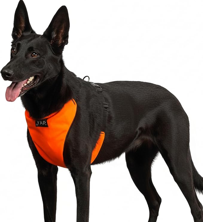 YAP Techno® No Pull Dog Harness, 4-Way Adjustable, Temperature Controlled Pet Vest Harness, Chokefree Dog Harness with Easy Control Handle for All Breeds; 30-55 lbs (Signal Orange, Medium-Wide)
