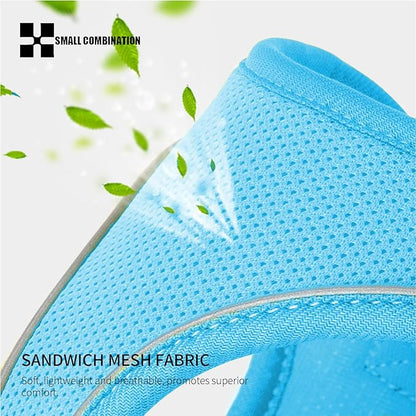 Adjustable Dog Harness with Leash, Reflective Mesh, No-Pull Design，Matching Lead Rope (SkyBlue, XXXS)