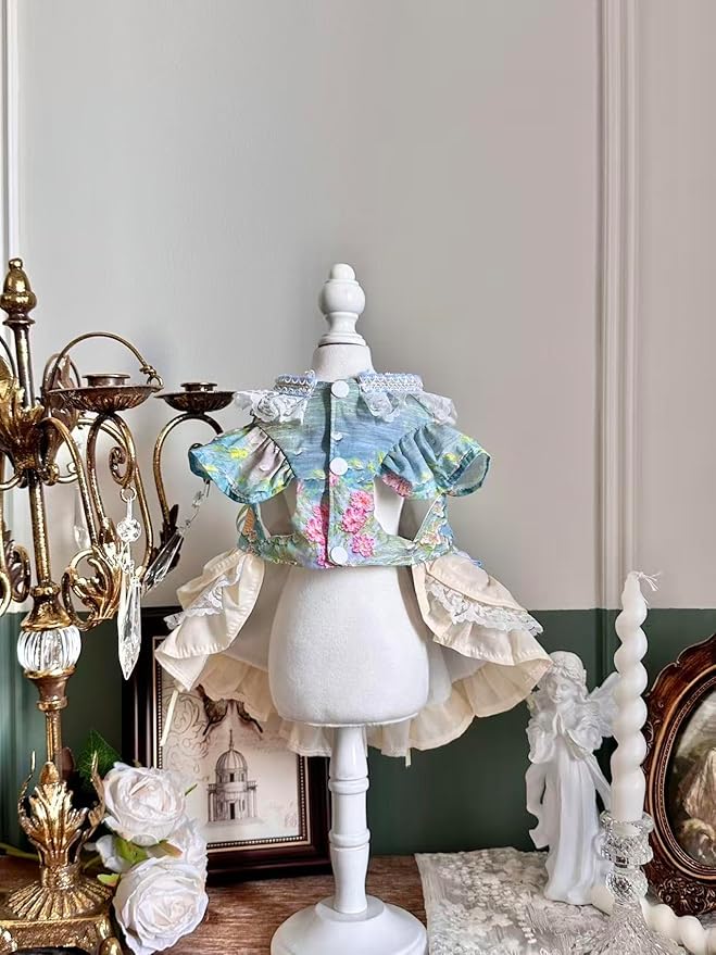 Fashion Sweet Puppy Dog Lace Princess Dress for EXTRAL Small and Small Dog B-Blue X-Small