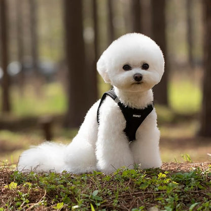 Dog Harness and Leash Set, Adjustable Mesh Puppy Harness, No Pull Soft Breathable Reflective Vest Pet Harnesses for Small to Large Dogs, Cats, Dog Vest Harness for Pets (Black, M)