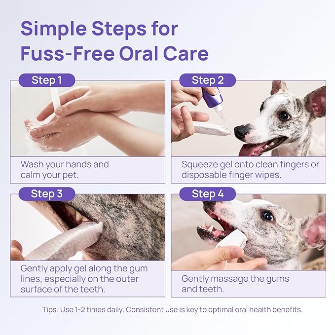 HICC PET Teeth Cleaning Gel for Dogs and Cats, Vet-Recommended Dog Dental Care Toothpaste Alternative for Breath Freshener, Prevent Infection, Plaque & Tartar Remover, Support Gum Health, 2 Fl Oz
