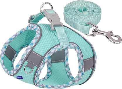 Step in Mesh Dog Harness and Leash Set - Breathable Air Mesh Reflective Escape Proof Vest - No Choke, Lightweight - Green