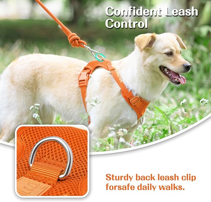 No Pull Dog Harness for Small Medium Large Dogs - Adjustable 2 Layer Mesh Dog Vest with Dual Clip, Escape Proof, Quick Release, Lightweight Breathable Mesh for Walking Hiking (Orange,M)