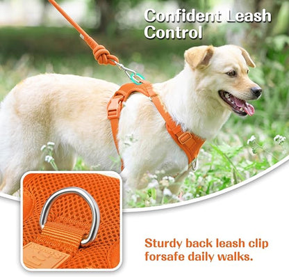 No Pull Dog Harness for Small Medium Large Dogs - Adjustable 2 Layer Mesh Dog Vest with Dual Clip, Escape Proof, Quick Release, Lightweight Breathable Mesh for Walking Hiking (Orange,M)