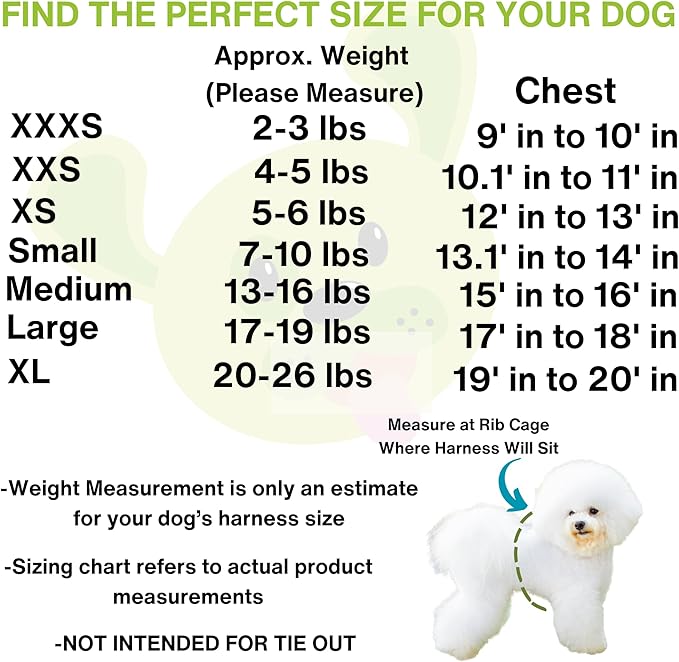 EcoBark Dog Harness - Teacup Dog Harnesses for XXS, XS, and Small Dogs - Step in Mesh Mini Body Halter - Puppy to Senior Dogs - Toy Breed Dog Harness Vest Under 5 pounds lbs (XXXS, Bright Blue)