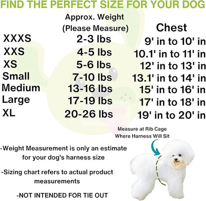 EcoBark Dog Harness - Teacup Dog Harnesses for XXS, XS, and Small Dogs - Step in Mesh Mini Body Halter - Puppy to Senior Dogs - Toy Breed Dog Harness Vest Under 5 pounds lbs (XXXS, Bright Blue)