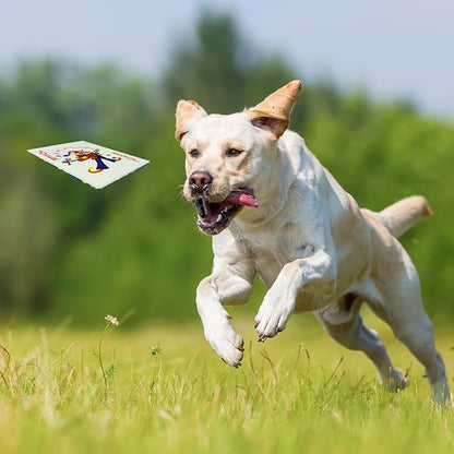 MAOOOOB 15PCS Funny Poker Dog Toys- Plush Interactive Toys with Crinkle Paper for Small, Medium Puppies- Fun Novelty Play- Cool Stuffed Gifts for Dog Birthday(Black)