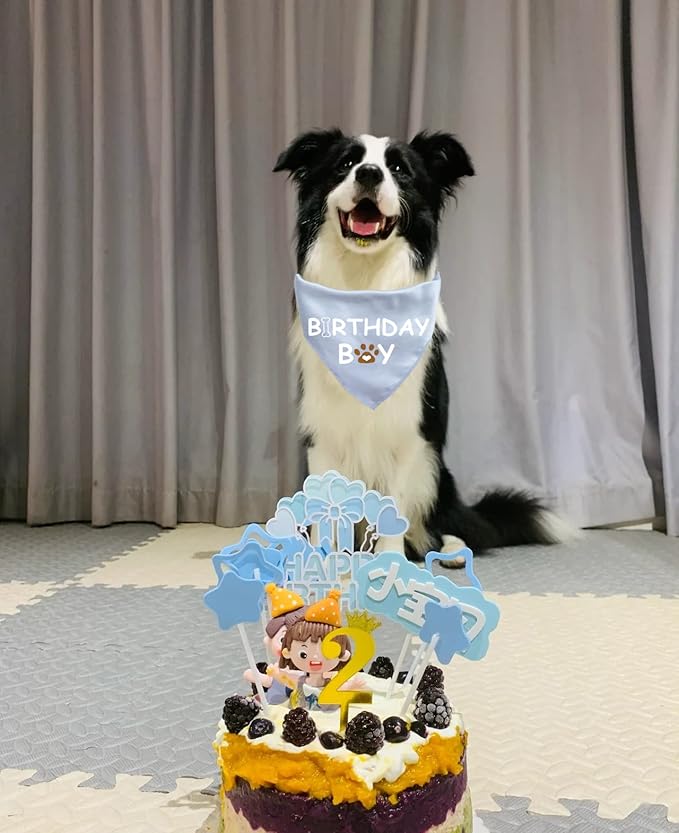 PetsLove Birthday Bandana for Boys & Girls - Dog Supplies for Small, Medium & Large Pets