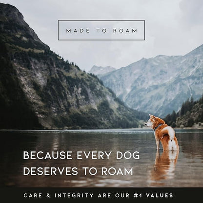 MADE TO ROAM Premium Explorer Harness - Y-Shaped Dog Harness with Adjustable Durable Nylon, Soft Padding, Metal Buckles and Leather Handle for Small, Medium, Large Dogs (Virginia Mountains, Size 2)